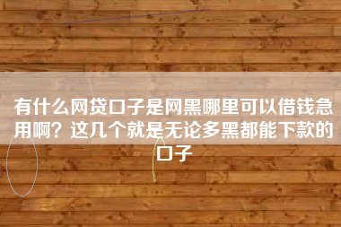 有什么网贷口子是网黑哪里可以借钱急用啊？这几个就是无论多黑都能下款的口子