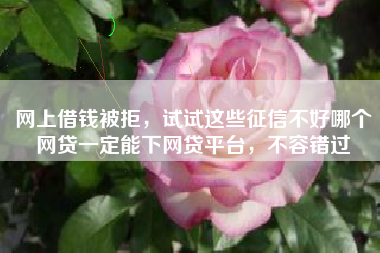 网上借钱被拒,试试这些征信不好哪个网贷一定能下网贷平台,不容错过 网上借钱被拒,试试这些征信不好哪个网贷一定能下网贷平台,不容错过