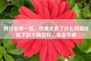 网贷名单一览，负债太多了什么网贷还能下款小额贷款，拿走不谢