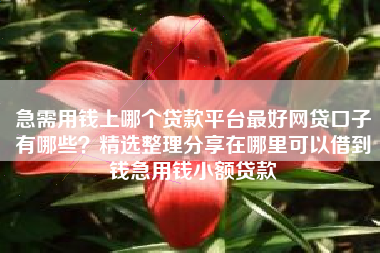 急需用钱上哪个贷款平台最好网贷口子有哪些？精选整理分享在哪里可以借到钱急用钱小额贷款