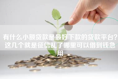 有什么小额贷款是最好下款的贷款平台？这几个就是征信乱了哪里可以借到钱急用