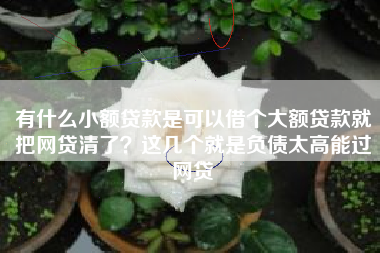 有什么小额贷款是可以借个大额贷款就把网贷清了？这几个就是负债太高能过网贷