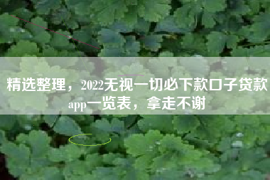 精选整理,2022无视一切必下款口子贷款app一览表,拿走不谢 精选整理,2022无视一切必下款口子贷款app一览表,拿走不谢