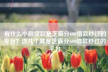 有什么小额贷款是芝麻分600借款秒过的平台？这几个就是芝麻分600借款秒过的平台