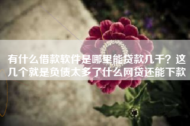 有什么借款软件是哪里能贷款几千？这几个就是负债太多了什么网贷还能下款