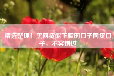 精选整理！黑网贷能下款的口子网贷口子，不容错过