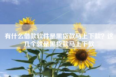 有什么借款软件是黑贷款马上下款？这几个就是黑贷款马上下款