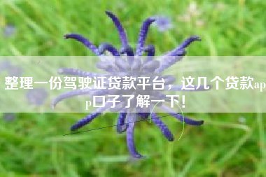 整理一份驾驶证贷款平台，这几个贷款app口子了解一下！