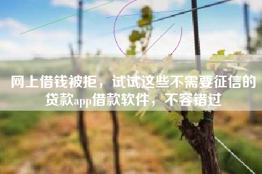 网上借钱被拒，试试这些不需要征信的贷款app借款软件，不容错过