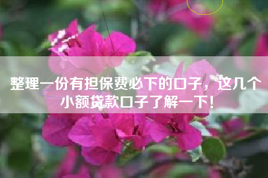 整理一份有担保费必下的口子，这几个小额贷款口子了解一下！