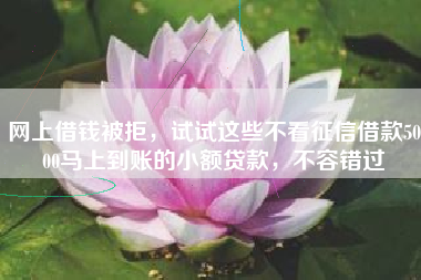 网上借钱被拒，试试这些不看征信借款5000马上到账的小额贷款，不容错过