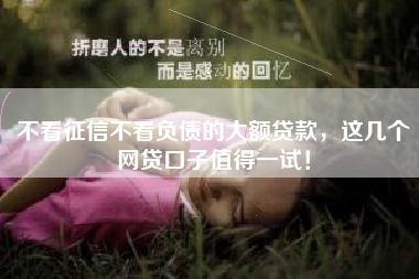 不看征信不看负债的大额贷款,这几个网贷口子值得一试! 不看征信不看负债的大额贷款,这几个网贷口子值得一试!