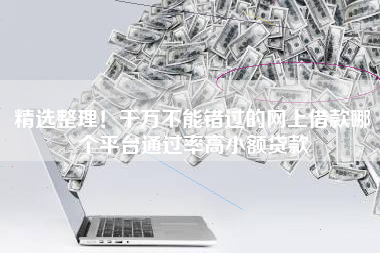 精选整理！千万不能错过的网上借款哪个平台通过率高小额贷款