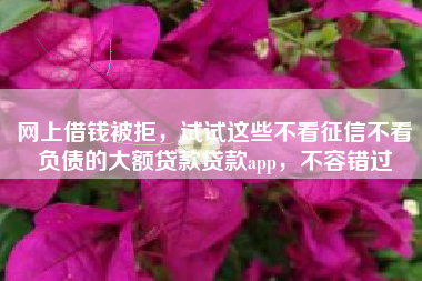 网上借钱被拒，试试这些不看征信不看负债的大额贷款贷款app，不容错过