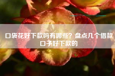 口袋花好下款吗有哪些？盘点几个借款口子好下款的