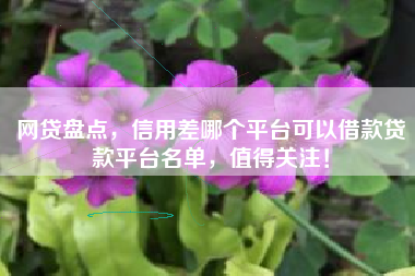 网贷盘点，信用差哪个平台可以借款贷款平台名单，值得关注！