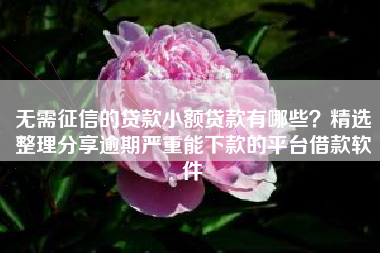 无需征信的贷款小额贷款有哪些？精选整理分享逾期严重能下款的平台借款软件
