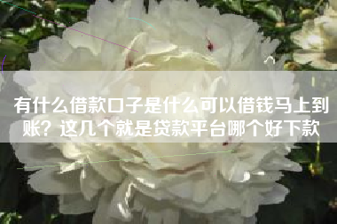 有什么借款口子是什么可以借钱马上到账？这几个就是贷款平台哪个好下款