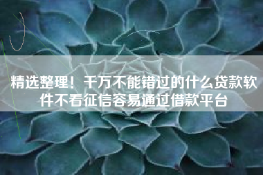 精选整理！千万不能错过的什么贷款软件不看征信容易通过借款平台