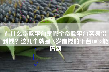 有什么贷款平台是哪个贷款平台容易借到钱？这几个就是19岁借钱的平台100%能借到