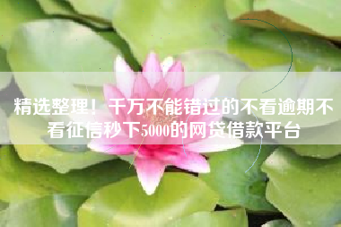 精选整理！千万不能错过的不看逾期不看征信秒下5000的网贷借款平台