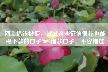 网上借钱被拒，试试这些征信很花也能稳下款的口子2022借款口子，不容错过