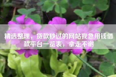 精选整理，贷款秒过的网站我急用钱借款平台一览表，拿走不谢