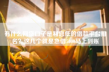 有什么网贷口子是利息低的借款平台排名？这几个就是急借5000马上到账