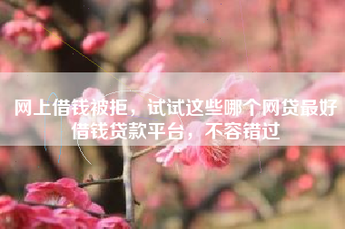 网上借钱被拒，试试这些哪个网贷最好借钱贷款平台，不容错过