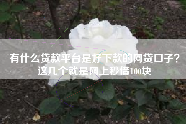 有什么贷款平台是好下款的网贷口子？这几个就是网上秒借100块