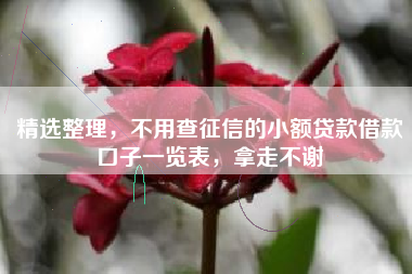 精选整理，不用查征信的小额贷款借款口子一览表，拿走不谢
