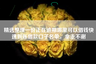 精选整理一份正在逾期哪里可以借钱快速到账借款口子名单，拿走不谢