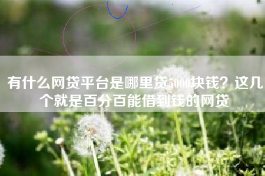 有什么网贷平台是哪里贷5000块钱？这几个就是百分百能借到钱的网贷
