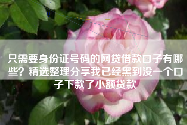 只需要身份证号码的网贷借款口子有哪些？精选整理分享我已经黑到没一个口子下款了小额贷款