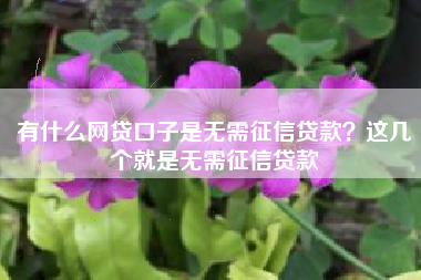 有什么网贷口子是无需征信贷款？这几个就是无需征信贷款