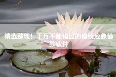 精选整理！千万不能错过的借钱应急借款软件