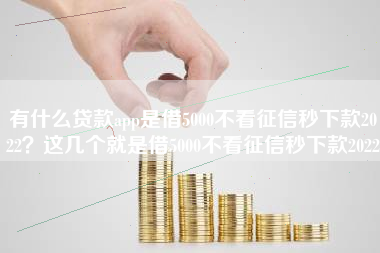 有什么贷款app是借5000不看征信秒下款2022？这几个就是借5000不看征信秒下款2022