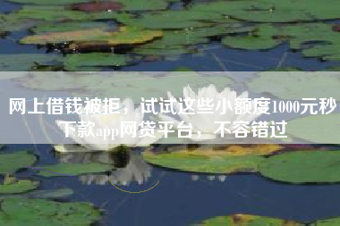 网上借钱被拒，试试这些小额度1000元秒下款app网贷平台，不容错过
