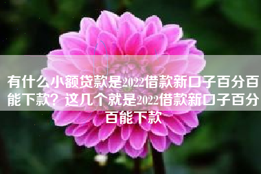 有什么小额贷款是2022借款新口子百分百能下款?这几个就是2022借款新口子百分百能下款 有什么小额贷款是2022借款新口子百分百能下款?这几个就是2022借款新口子百分百能下款