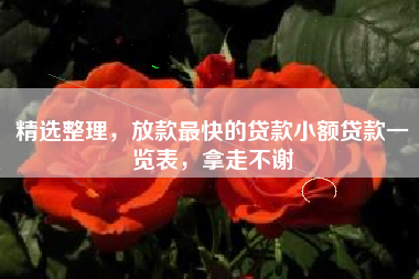 精选整理,放款最快的贷款小额贷款一览表,拿走不谢 精选整理,放款最快的贷款小额贷款一览表,拿走不谢
