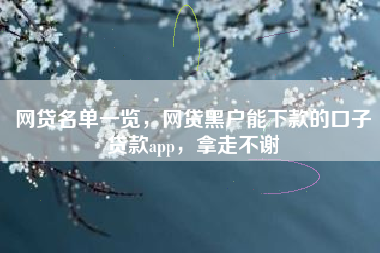 网贷名单一览，网贷黑户能下款的口子贷款app，拿走不谢