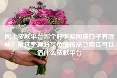 网上贷款平台哪个好下款网贷口子有哪些？精选整理分享负债极高急用钱可以借什么贷款平台