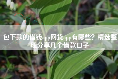 包下款的借钱app网贷app有哪些？精选整理分享几个借款口子