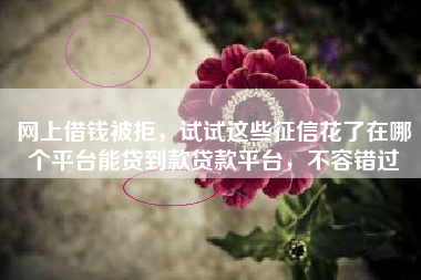 网上借钱被拒，试试这些征信花了在哪个平台能贷到款贷款平台，不容错过