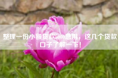 整理一份小额贷款5000急用，这几个贷款口子了解一下！