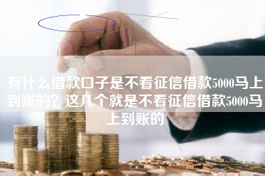 有什么借款口子是不看征信借款5000马上到账的?这几个就是不看征信借款5000马上到账的 有什么借款口子是不看征信借款5000马上到账的?这几个就是不看征信借款5000马上到账的