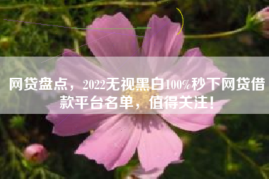 网贷盘点，2022无视黑白100%秒下网贷借款平台名单，值得关注！
