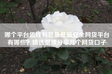 哪个平台借钱利息最低最安全网贷平台有哪些？精选整理分享几个网贷口子