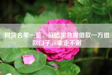 网贷名单一览，征信黑急需借款一万借款口子，拿走不谢