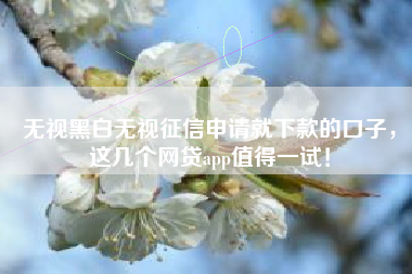 无视黑白无视征信申请就下款的口子，这几个网贷app值得一试！
